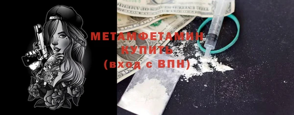 прущие грибы Вязьма