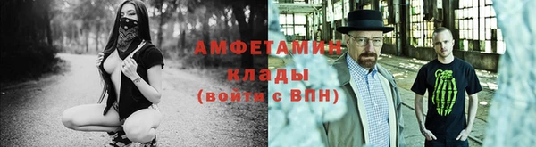 спиды Вяземский