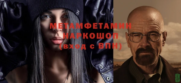 прущие грибы Вязьма