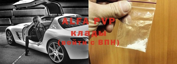 прущие грибы Вязьма
