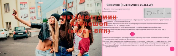 прущие грибы Вязьма