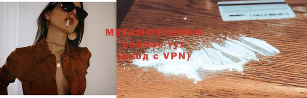 прущие грибы Вязьма