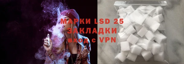 прущие грибы Вязьма