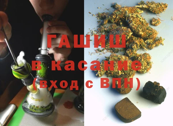 прущие грибы Вязьма