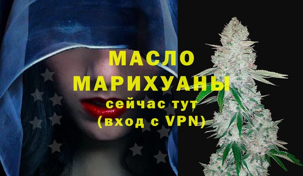 спиды Вяземский