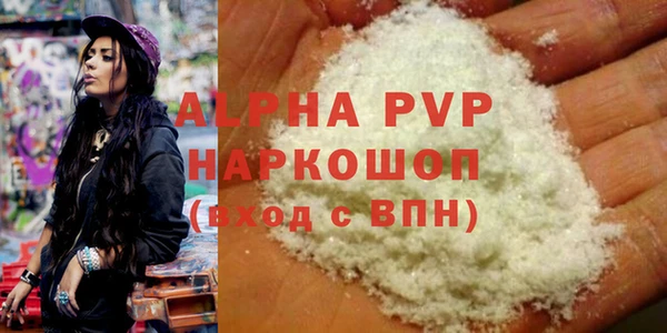 прущие грибы Вязьма