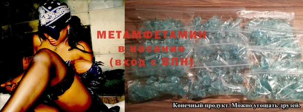 прущие грибы Вязьма
