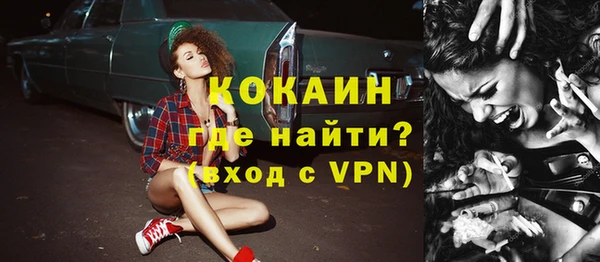 прущие грибы Вязьма