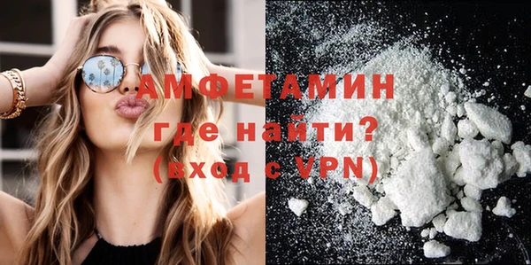прущие грибы Вязьма