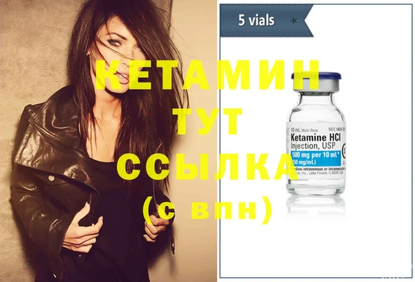 прущие грибы Вязьма