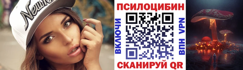 Псилоцибиновые грибы Cubensis  маркетплейс официальный сайт  Междуреченск  MEGA как зайти 