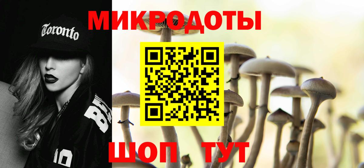 Галлюциногенные грибы Psilocybe  Междуреченск  Галлюциногенные грибы мицелий 